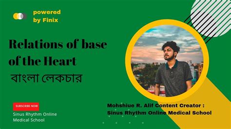 Relations Of The Base Of The Heart Mohshiue Rahman Alif M Abdur