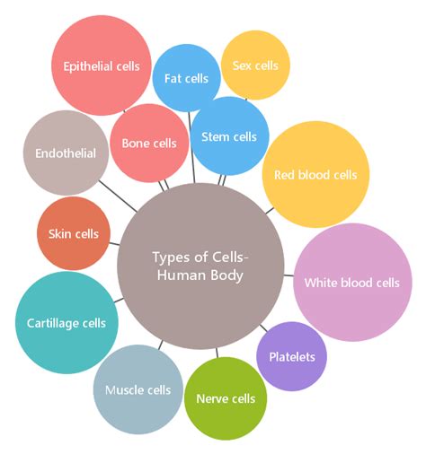 The 9 Popular Types of Mind Map | EdrawMind