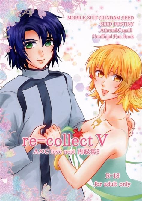 駿河屋 【アダルト】 Re－collect 5 パルビンコ （アスラン×カガリ） A×c Love Nest（アニメ系）