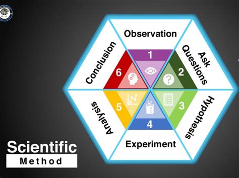 Scientific Method 6 Steps Infographic By Amira Shawkat On Dribbble