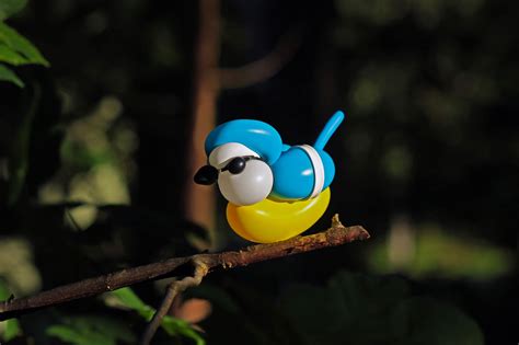 Balloon Birds by Terry Cook Mimic Their Real-Life Counterparts — Colossal