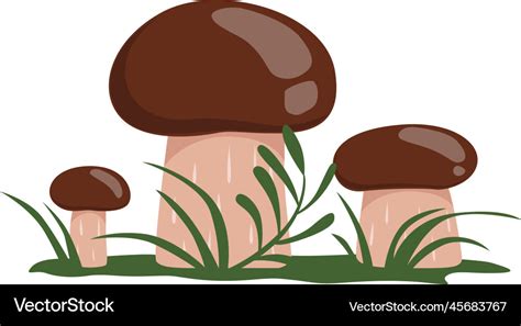 Yellow Boletus Growing Cartoon Forest Nature Vector Image