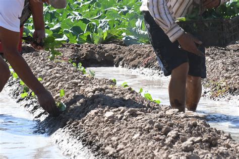 Compuertas de las presas abrirán el 12 de marzo productores esperan un