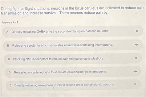 Solved Papez circuit provides the anatomic substrate for the | Chegg.com