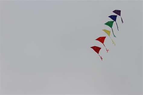 Premium Photo | Kite festival