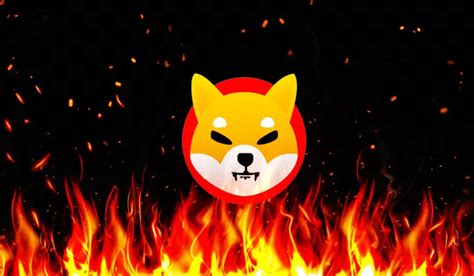 Shiba Inu Who Has Burned The Highest Number Of Shib Tokens