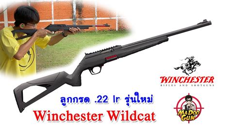 Winchester Wildcat Lr Youtube