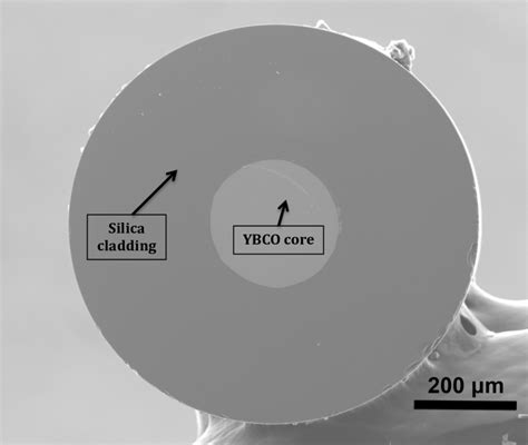 2 SEM Image Of Cross Section Of The YBCO Core Fiber With Fused Silica