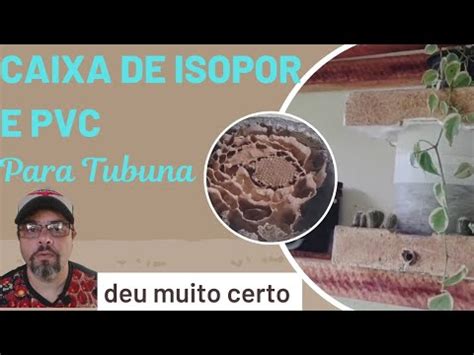 Caixa Para Abelha Tubuna Feita De Isopor E Pvc Deu Muito Certo