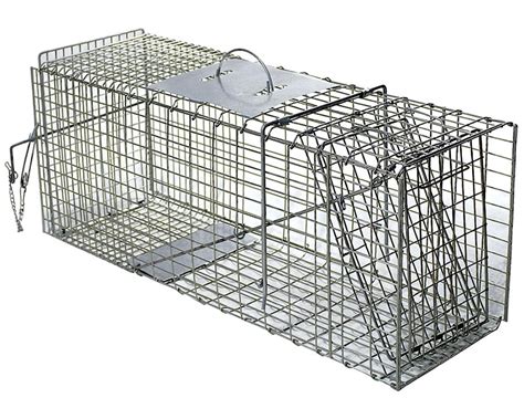 Piège cage à fouine anti nuisible NTD Chasse et piégeage