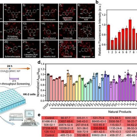 PDF A Fluorescent Photoacoustic Probe For Imaging Of Hydroxyl Radical