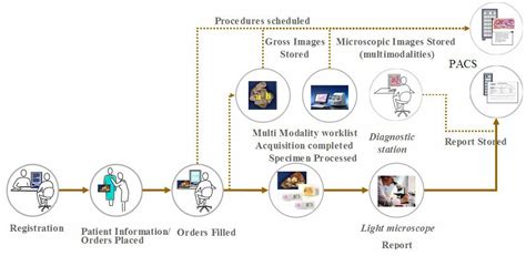 Anatomic Pathology Workflow Ihe Wiki