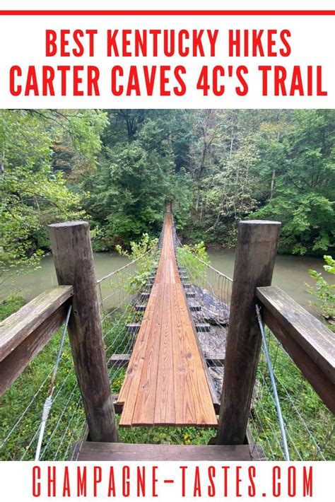 10 Best Hikes In Red River Gorge Hiking Trails Artofit