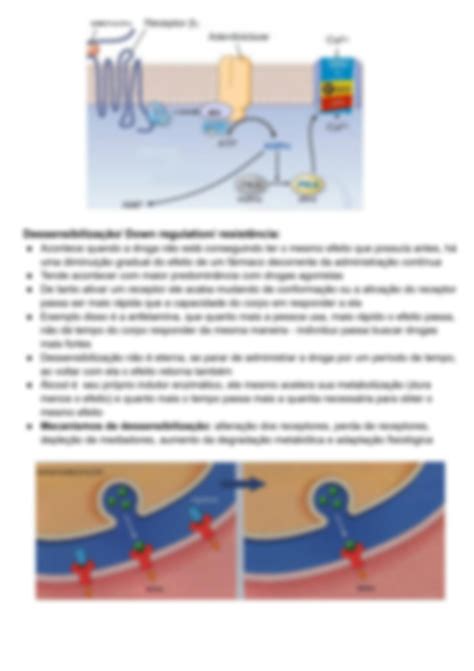 SOLUTION Farmacodin Mica Tipos De Agonistas E Antagonistas Studypool