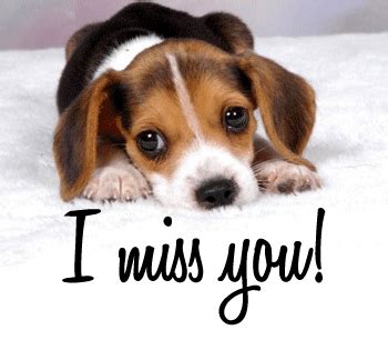 I miss you cute puppy :: Miss You :: MyNiceProfile.com