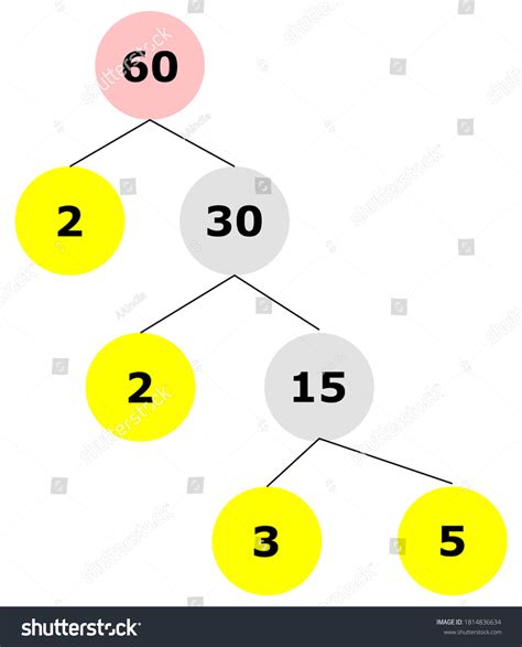 Prime Factorization Of 50