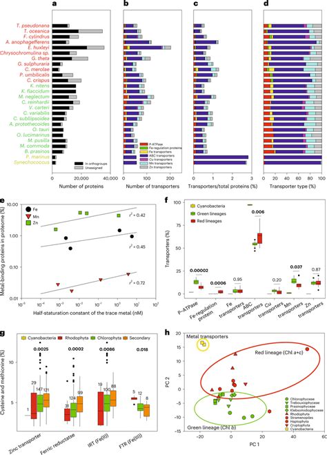 Analysis Of Metal Transporter Genes Found In Different Phytoplankton A