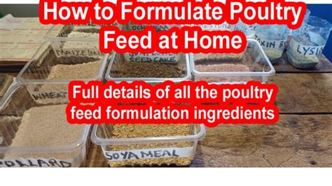 How To Formulate Your Poultry Feed Make Your Own Poultry Feed At Home