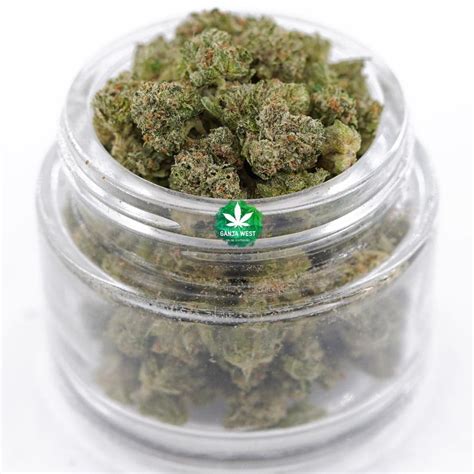 Buy Pine Tar Kush Aaa Popcorn Indica Ganja West Online Dispensary