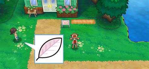 Pokémon ORAS White Herbs Locations Uses Guide Strats