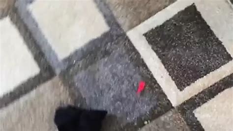 Free Fat Black Granny Porn Videos Xhamster