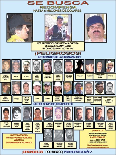 Medellin Cartel Structure