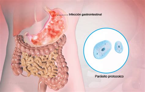 Health Condition Symptoms Causes Treatment And More