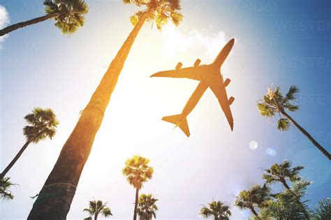 Directly Below Shot Of Airplane Flying Over Palm Tree Against Sky Stock