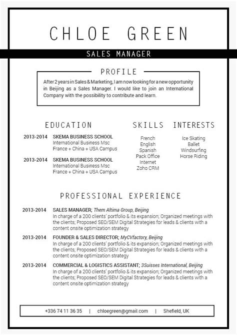 Professional Cv Efficient Resume · Mycvfactory