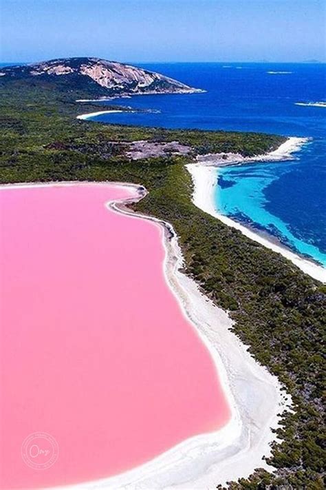 Pink Beaches To Explore Most Gorgeous Pink Sand Travel Destination