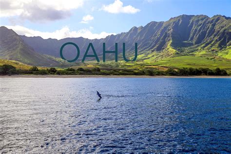 Why Oahu Is The Best Island For Watching Dolphins Dolphins And You