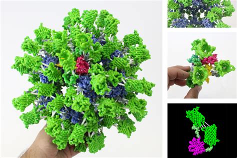 De Novo Proteins D Molecular Designs