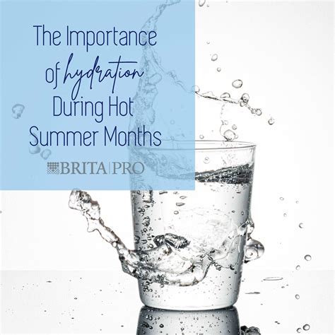 Importance Of Hydration During Summer Months — Brita Pro®