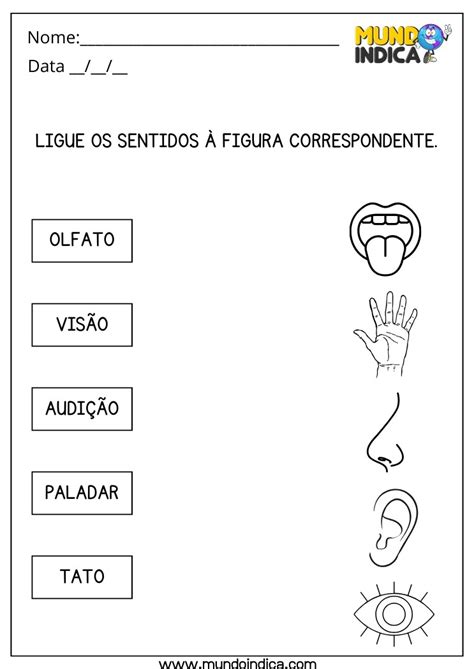 Atividades De Ci Ncias Para Autista Para Imprimir