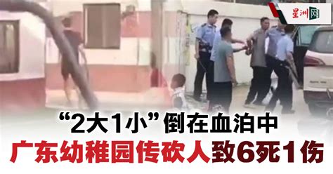 广东幼儿园肇命案 男子持刀砍人6死1伤 国际 国际头条