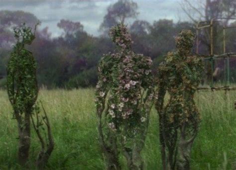 Analyzing Annihilation — Steemit | Nature aesthetic, Green aesthetic ...