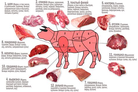 Разделка Мяса Фото Telegraph