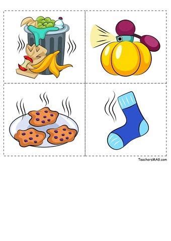 ДИДАКТИЧЕСКАЯ ИГРА "МОИ ПЯТЬ ЧУВСТВ". | OK.RU | Preschool activities ...