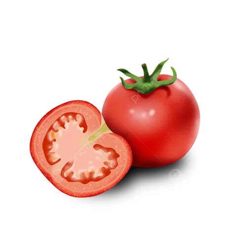 Tomatoes Drawing Png Vector Psd And Clipart With Transparent