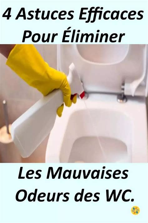 Odeur DUrine Dans Les Toilettes 4 Astuces Pour Lenlever Odeur