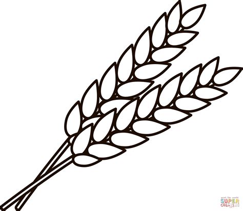 Wheat Coloring Page Free Printable Coloring Pages