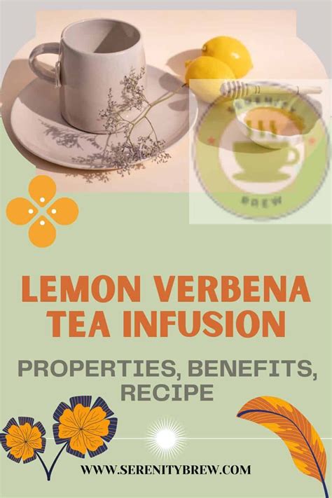 Lemon Verbena Tea Infusion Properties Benefits Recipe Serenity Brew