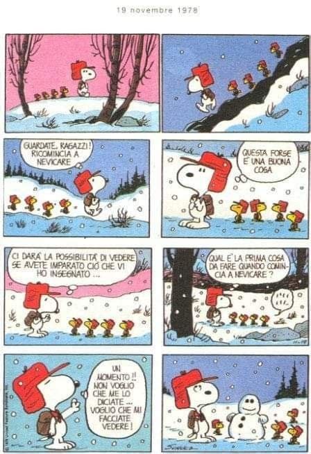 Pin De Mariano Piccini Em Peanuts Neve