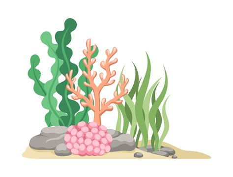 Coral Reefs With Algae Seaweed And Rocks Vector Cartoon Illustration