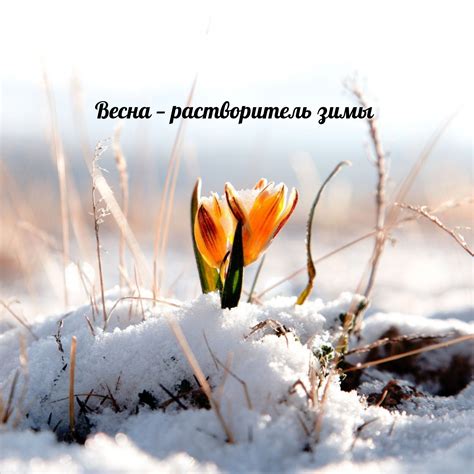 Весенние картинки (98 шт.)