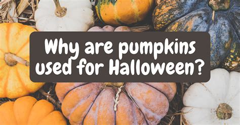 Why Pumpkins Are Used For Halloween And Other Spooky Plants