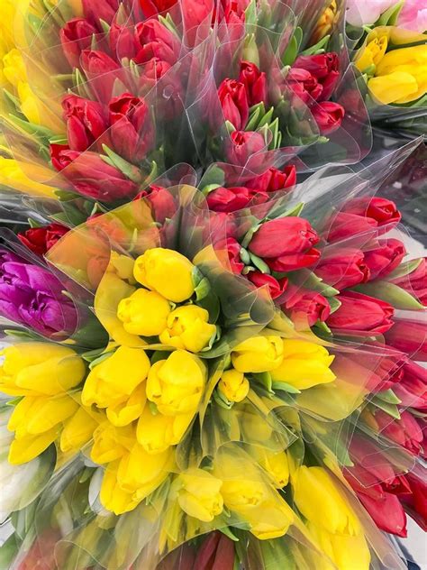 Luxurious Bouquets Of Multi Colored Tulips Spring Flowers Gifts