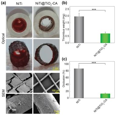 Ex Vivo Evaluation Of Pure And Tio Ca Coated Braided Mesh In A New