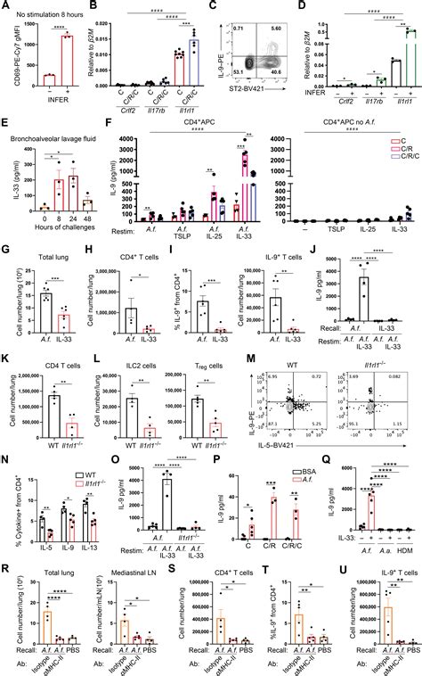 Allergic Airway Recall Responses Require IL 9 From Resident Memory CD4