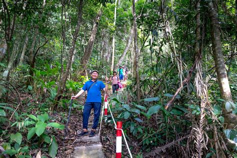 People Hiking in Tropical Forest · Free Stock Photo